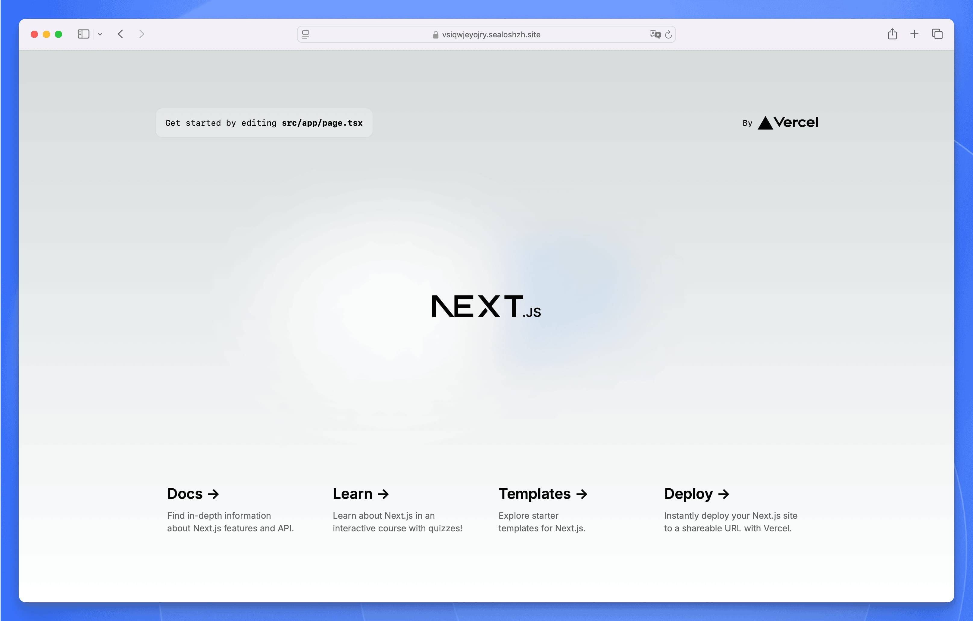 运行在 Sealos DevBox 上的 Next.js 示例应用预览界面