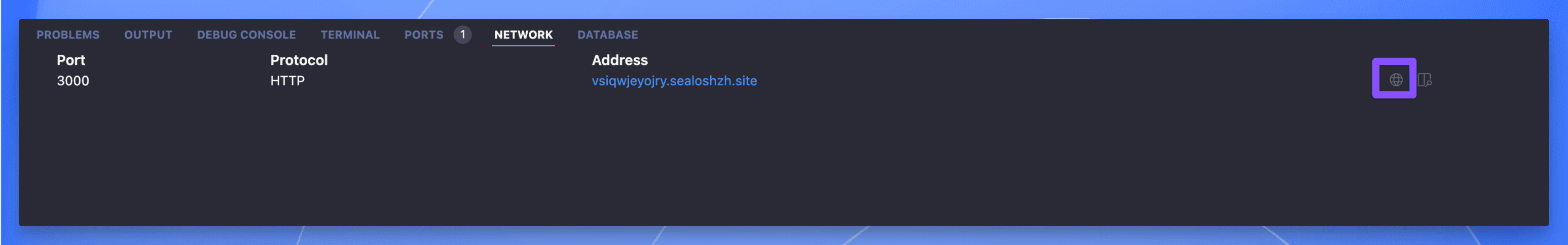 Sealos DevBox 网络面板中的应用访问按钮界面