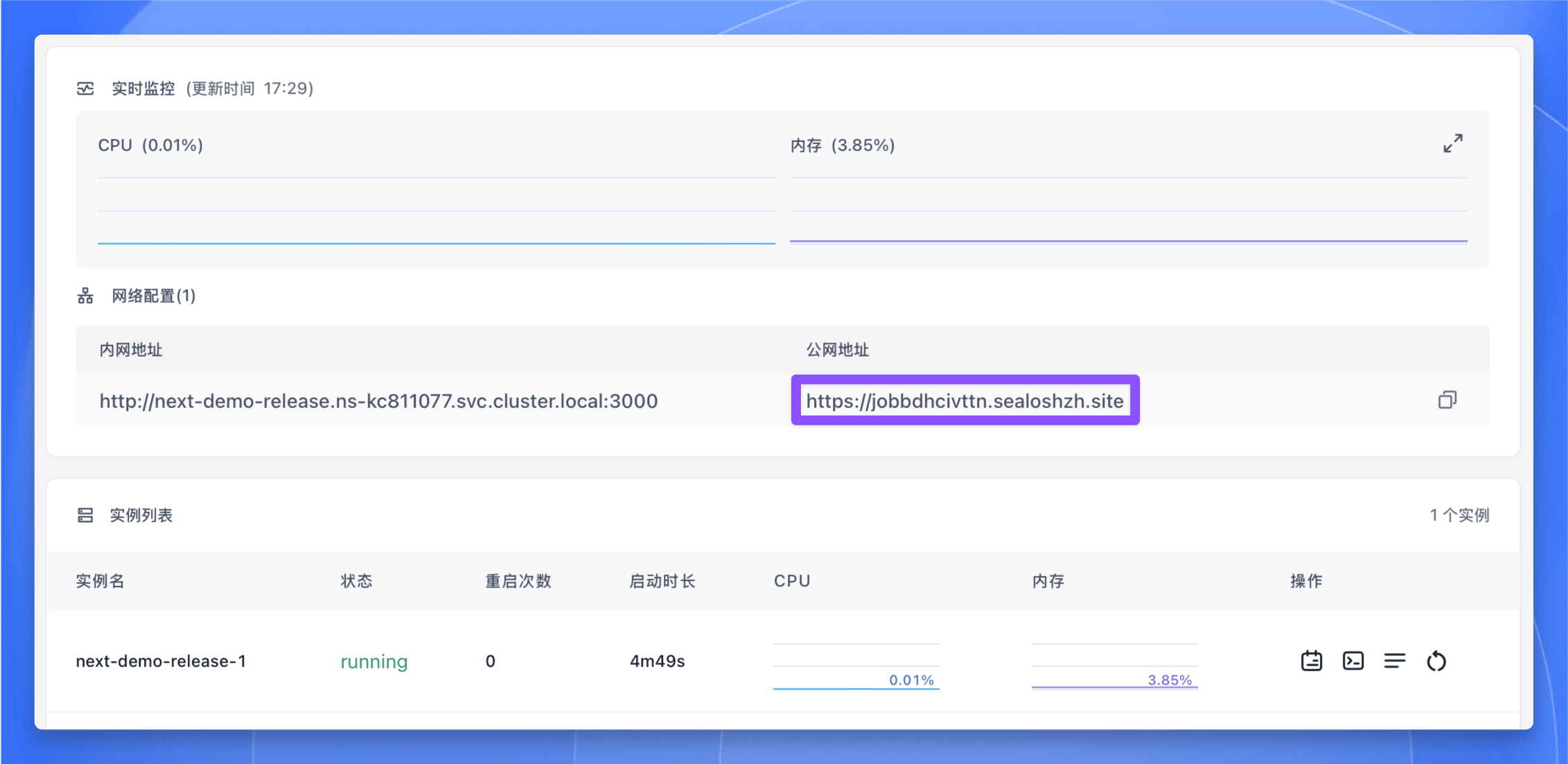 Sealos DevBox 应用部署成功界面，显示运行状态和访问地址