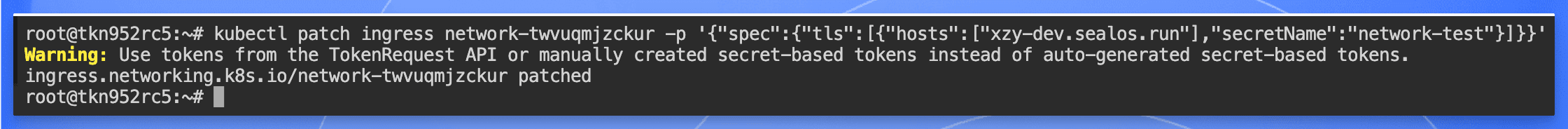 Sealos 修改 Ingress 配置界面