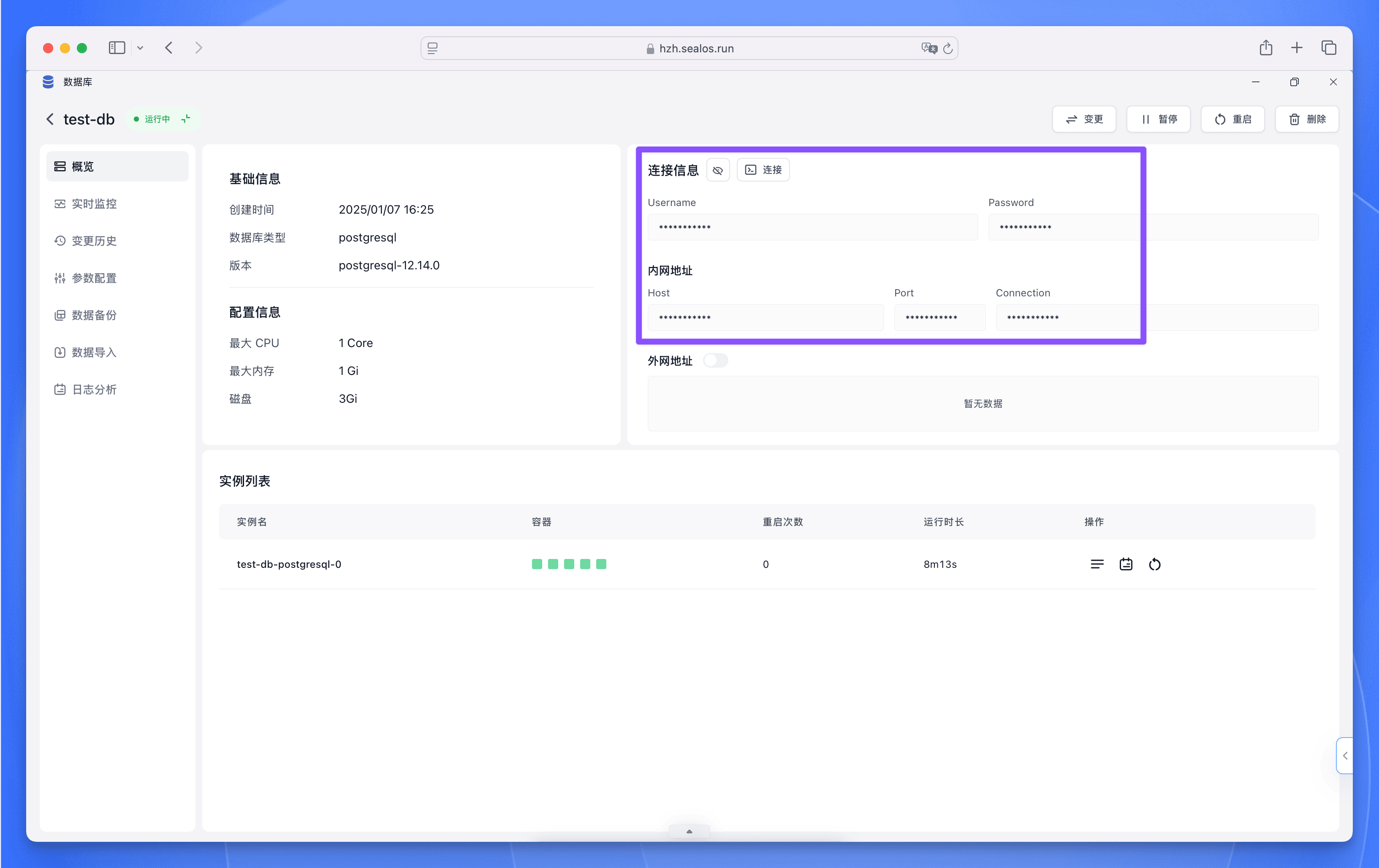 PostgreSQL 数据库连接信息界面,显示数据库访问凭证和连接参数