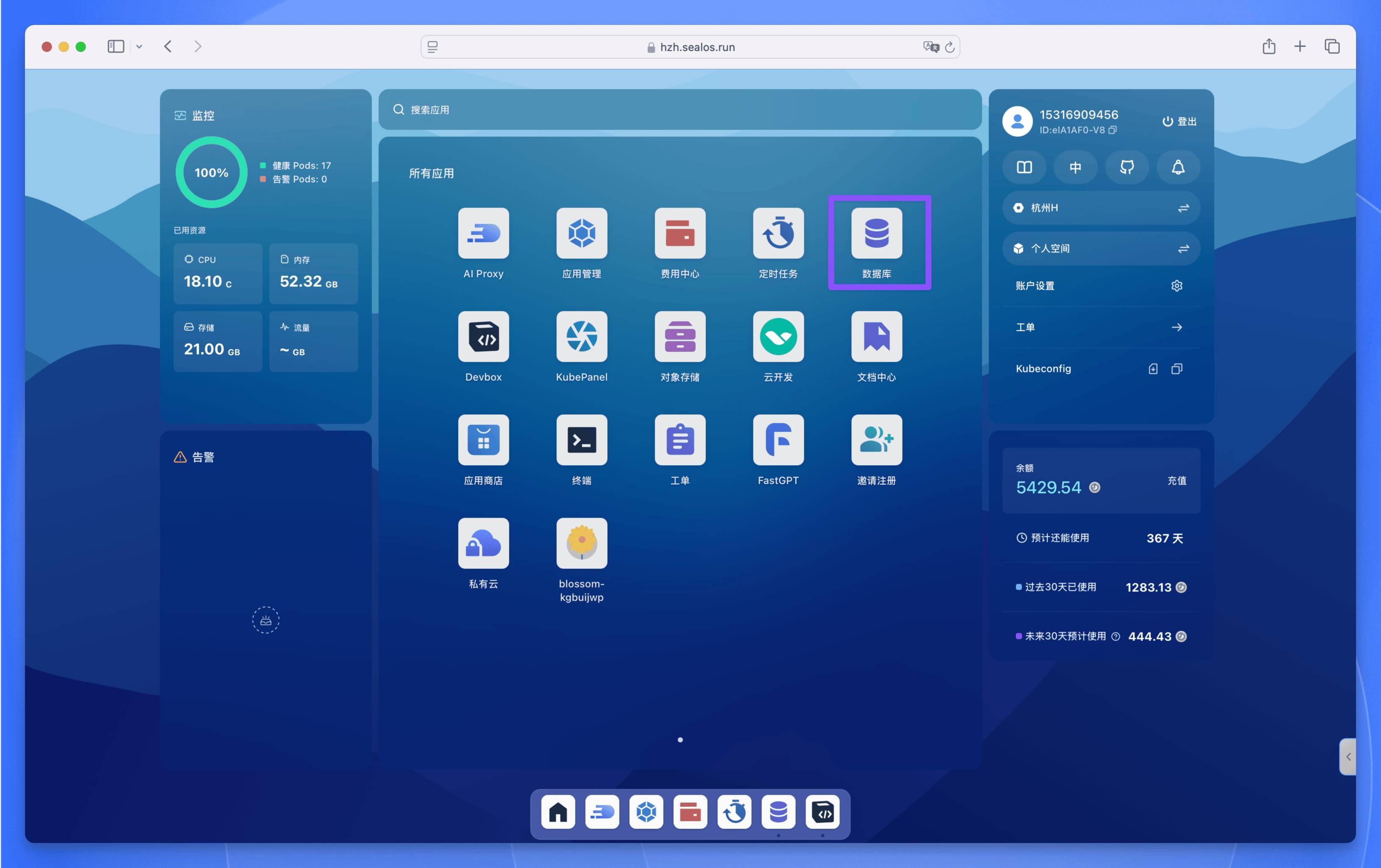 Sealos 数据库应用界面展示数据库服务入口